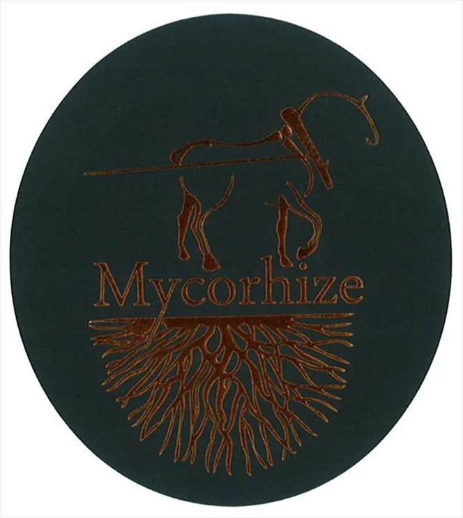 Mycorhize Blanc de Blancs Extra Brut Grand Cru Bottle