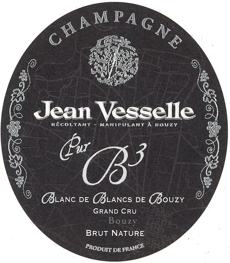 Blanc de Blancs de Bouzy Brut Nature Bottle