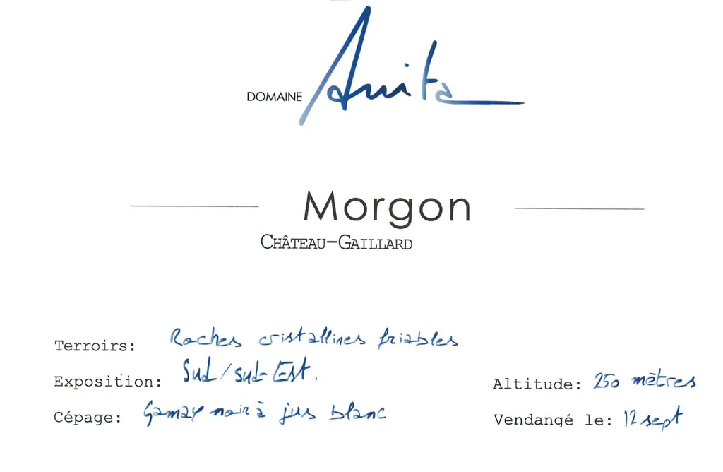 Morgon Chateau-Gaillard Bottle