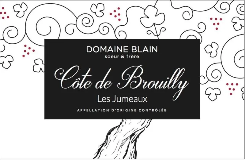 Domaine Blain Cotes de Brouilly Les Jumeaux Bottle