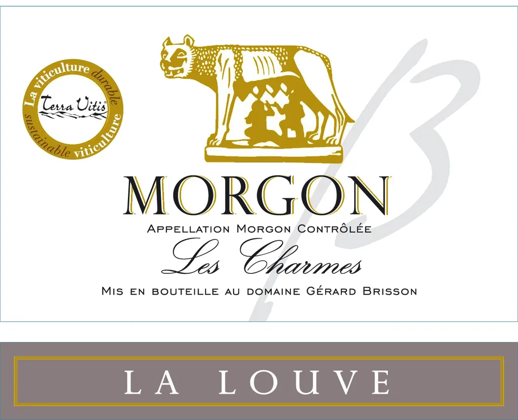 Morgon Les Charmes La Louve Bottle