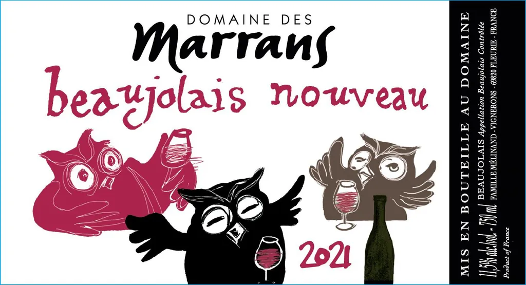 Beaujolais Nouveau Bottle