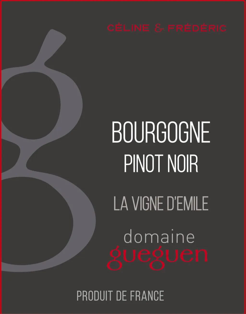 Bourgogne Pinot Noir Bottle