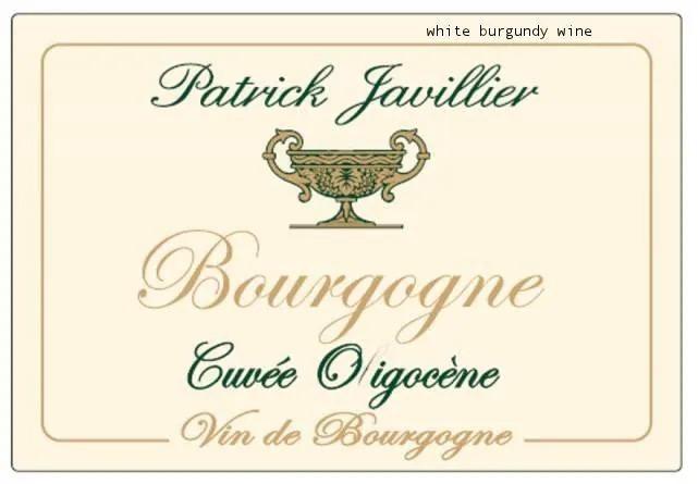 Bourgogne Blanc Cuvee Oligocene Bottle