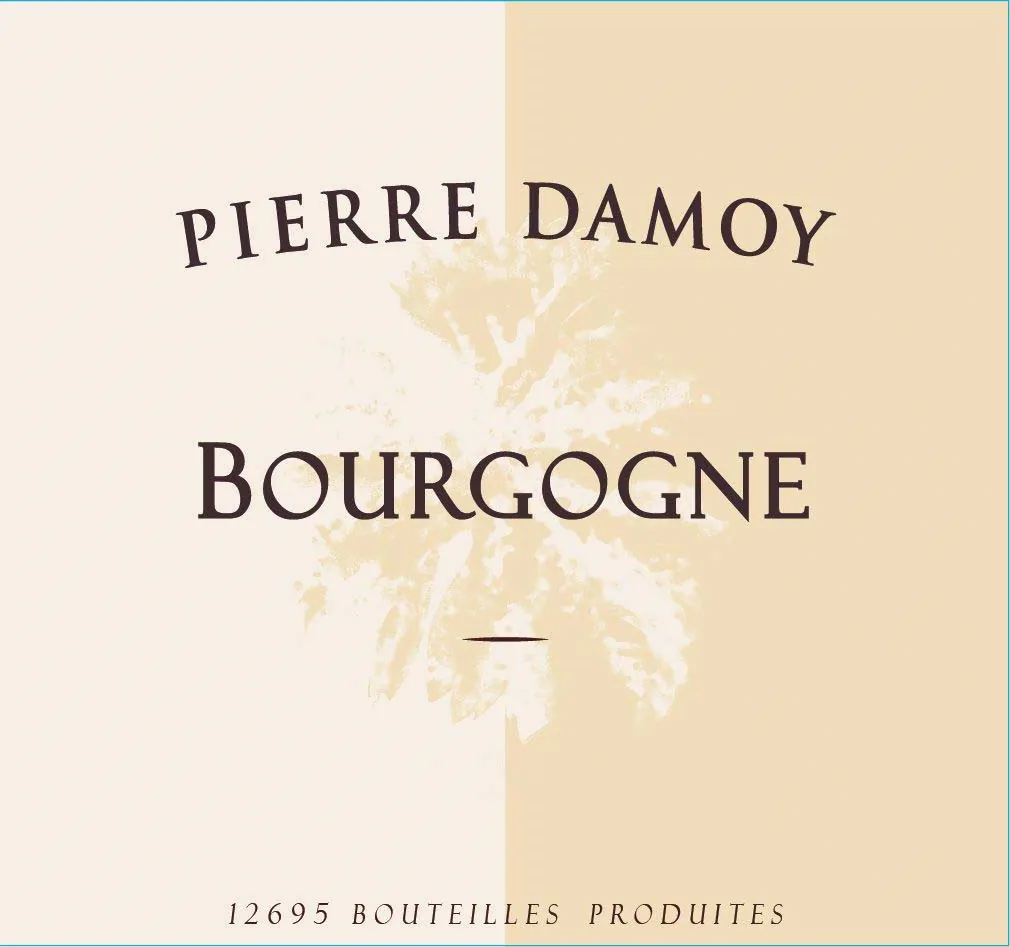 Bourgogne Pinot Noir Bottle