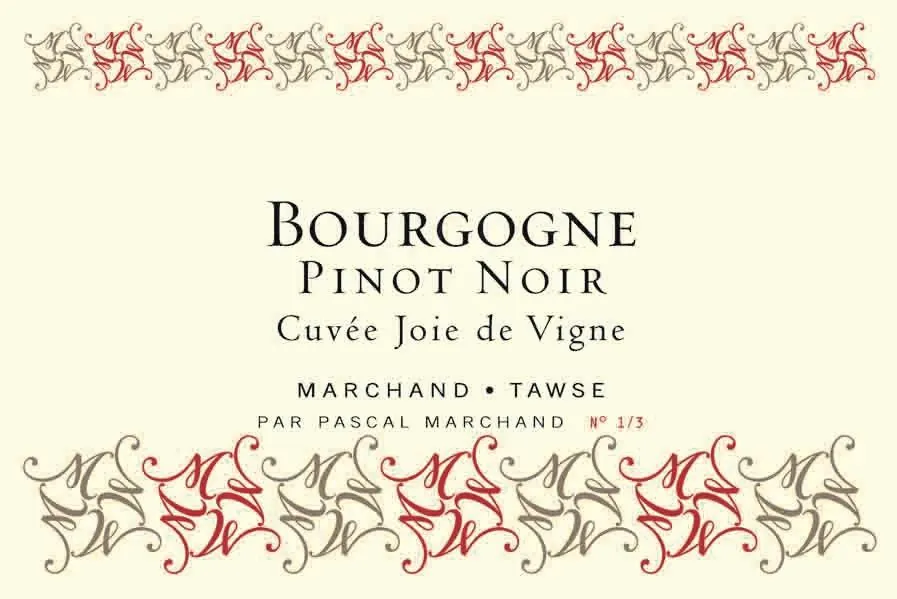 Bourgogne Pinot Noir Joie de Vigne Bottle