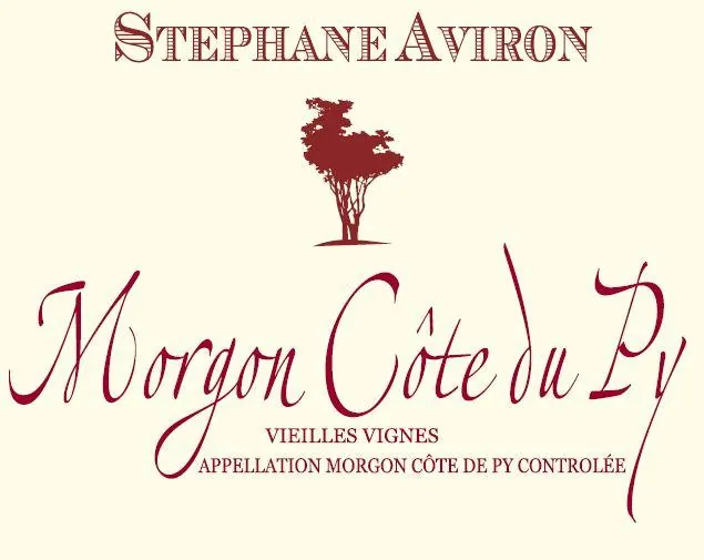 Morgon Cote du Py Vieilles Vignes Bottle
