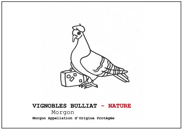 Morgon Nature Gamay Bottle