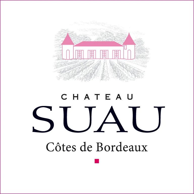 Cotes de Bordeaux Rouge Bottle
