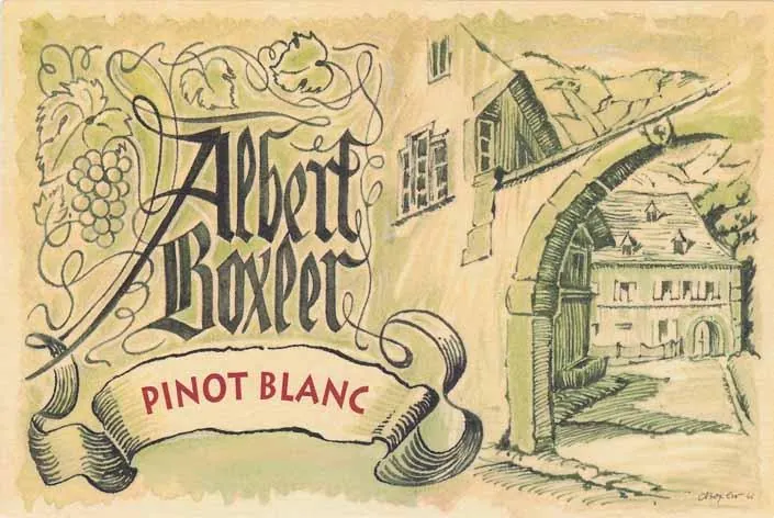 Pinot Blanc Bottle