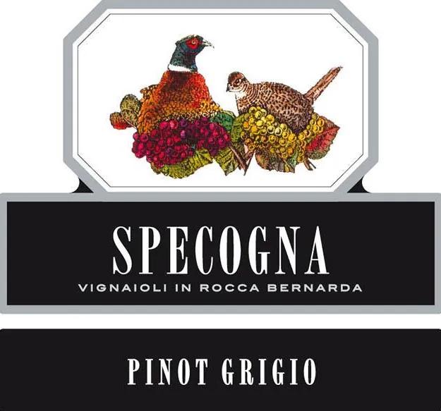 Pinot Grigio Bottle