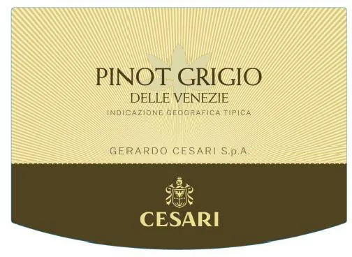 Delle Venezie Fiorile Pinot Grigio Bottle