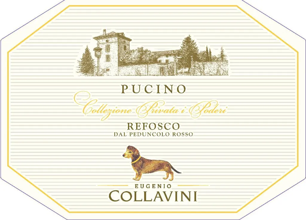 Refosco dal Peduncolo Rosso Bottle