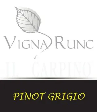 Vigna Runc Pinot Grigio Bottle