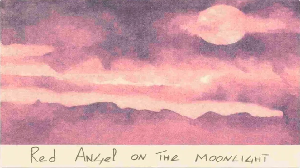 Red Angel on the Moonlight Pinot Nero Bottle