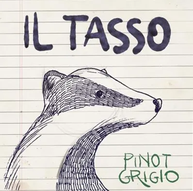 Il Tasso Pinot Grigio Bottle