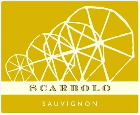 Sauvignon Blanc Bottle