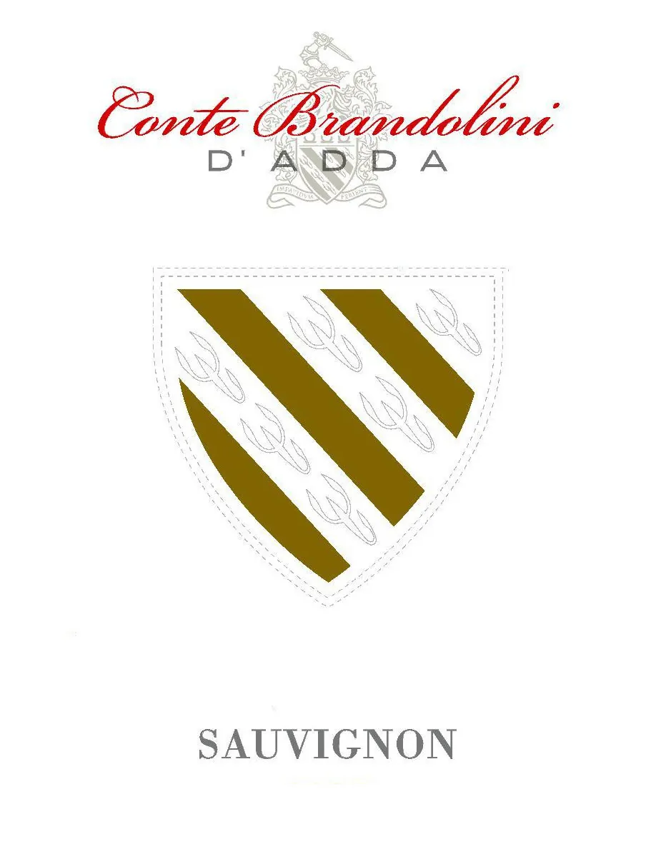 Sauvignon Blanc Bottle