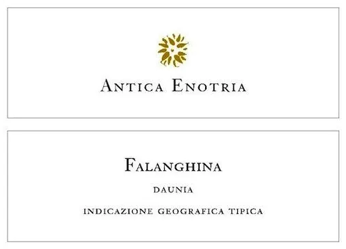 Daunia Falanghina Bottle
