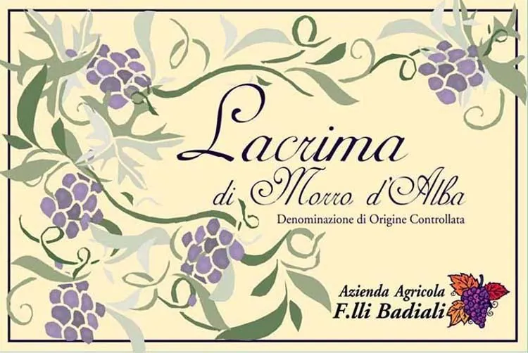 Lacrima di Morro d'Alba Bottle