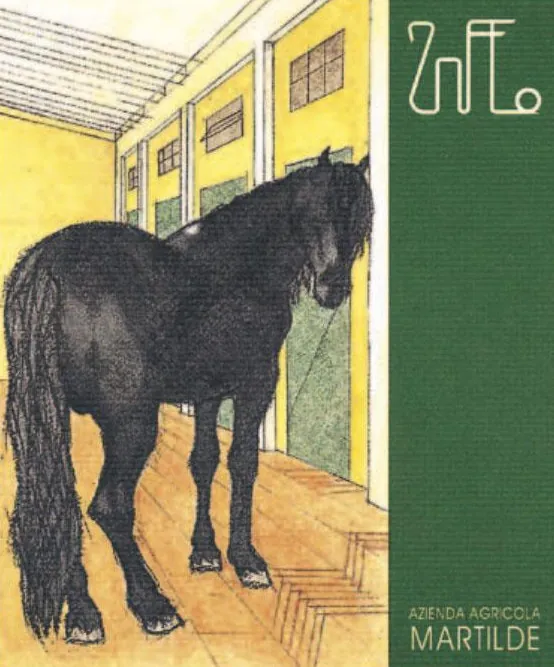 Oltrepo Pavese Bonarda Bottle