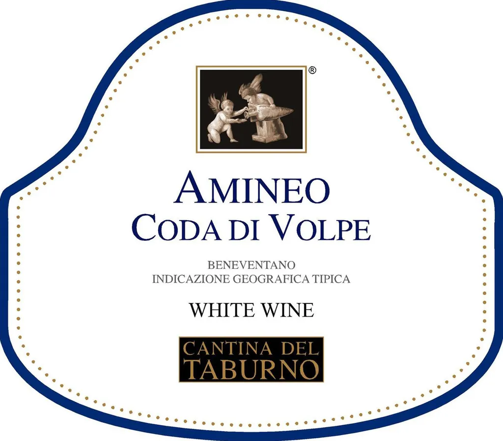 Tabruno Amineo Coda di Volpe Bottle