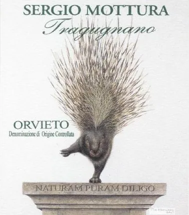 Orvieto Tragugnano Secco Bottle