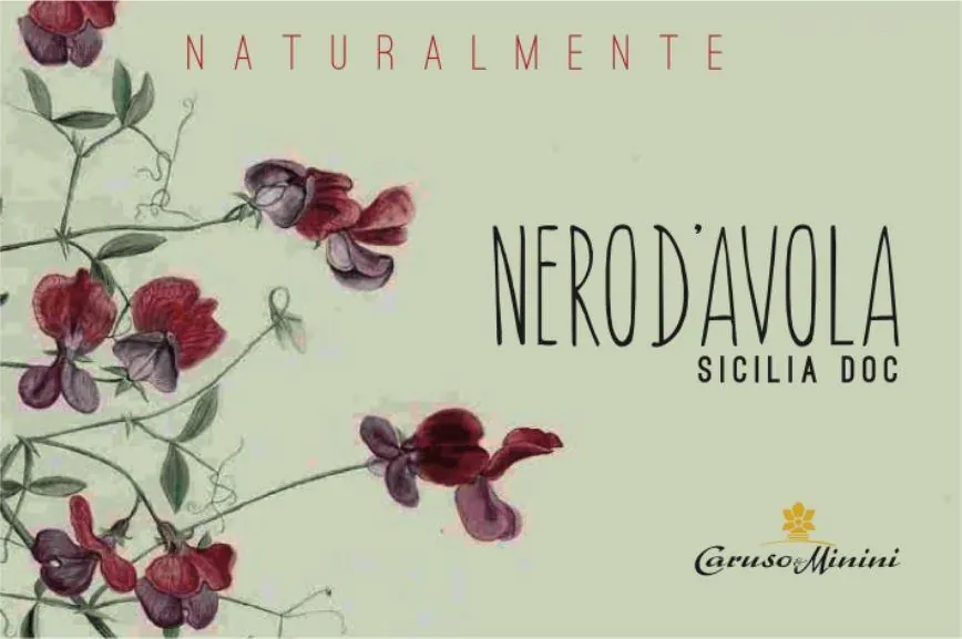 Naturalmente Bio Nero d'Avola Bottle