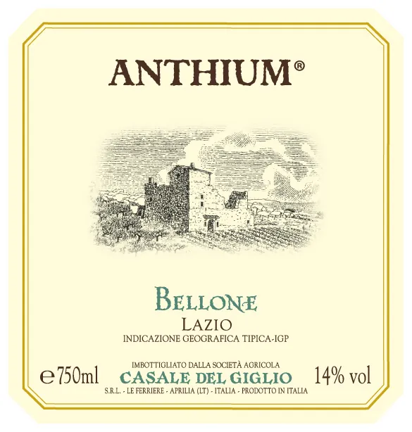 Anthium Bellone Bottle