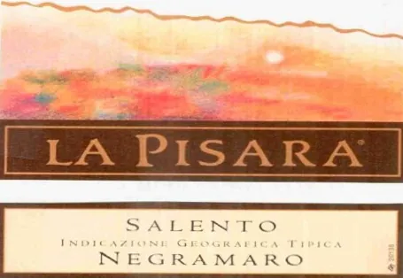 Moleto Salento Negroamaro Bottle