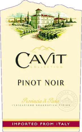 Provincia di Pavia Pinot Noir Bottle