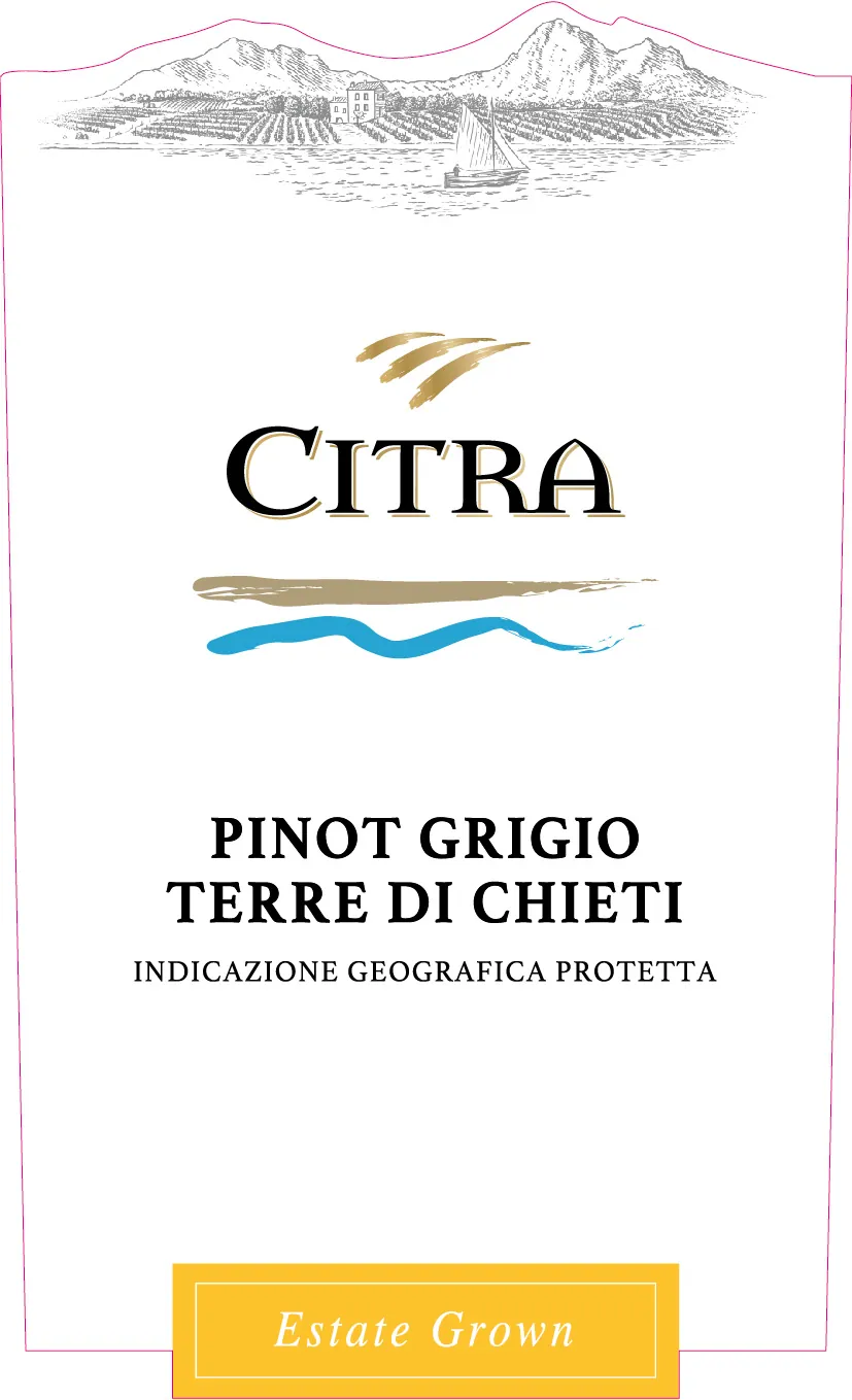 Pinot Grigio Bottle
