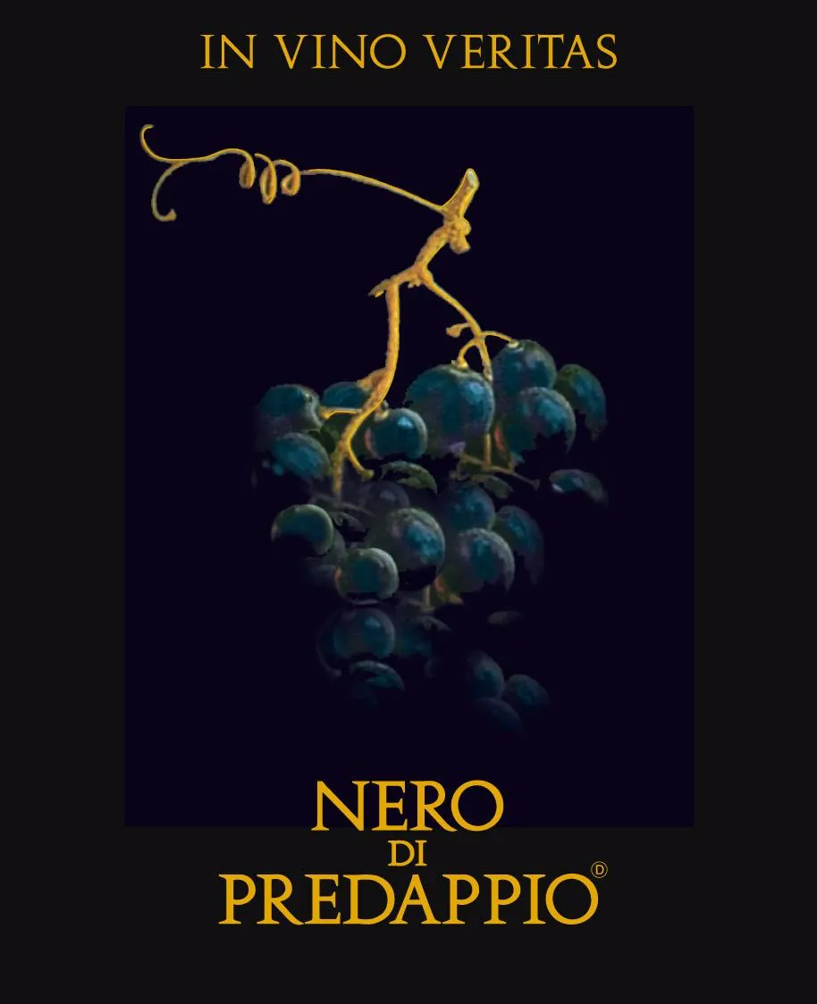 Nero di Predappio Rosso Bottle