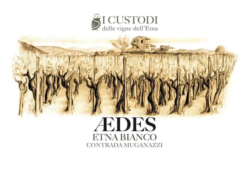 I Custodi Aedes Etna Bianco Bottle