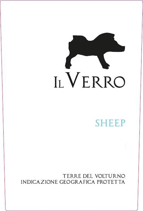 Terre del Volturno Sheep Bottle