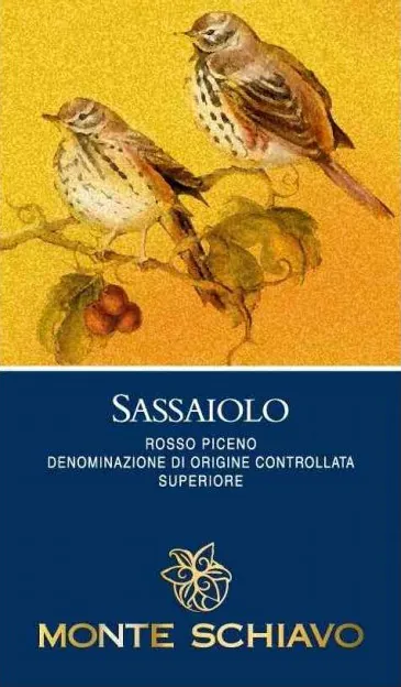 Rosso Piceno Sassaiolo Superiore Bottle
