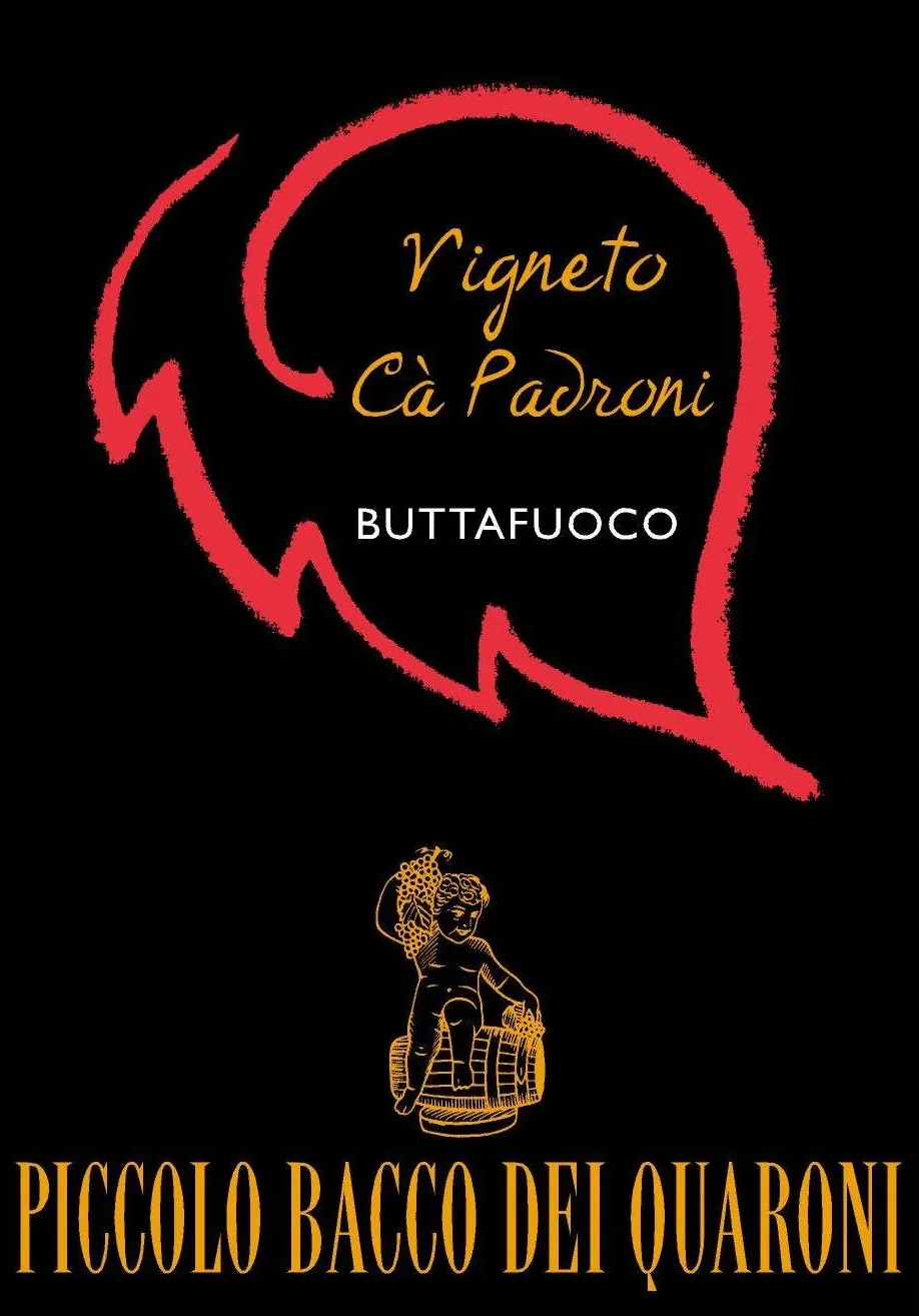 Buttafuoco dell'Oltrepo Pavese Vigneto Ca Padroni Bottle
