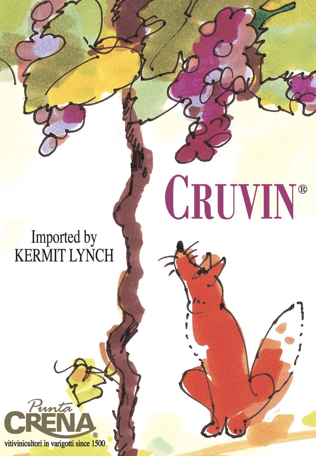 Colline Savonesi Rosso Cruvin Bottle