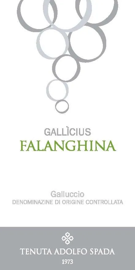Galluccio Gallicius Falanghina Bottle
