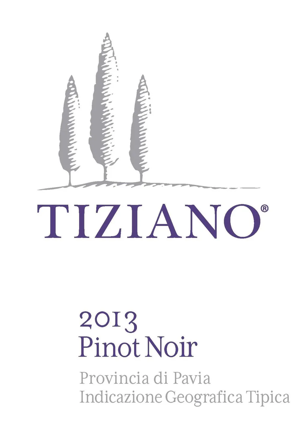 Tiziano Provincia di Pavia Pinot Noir Bottle