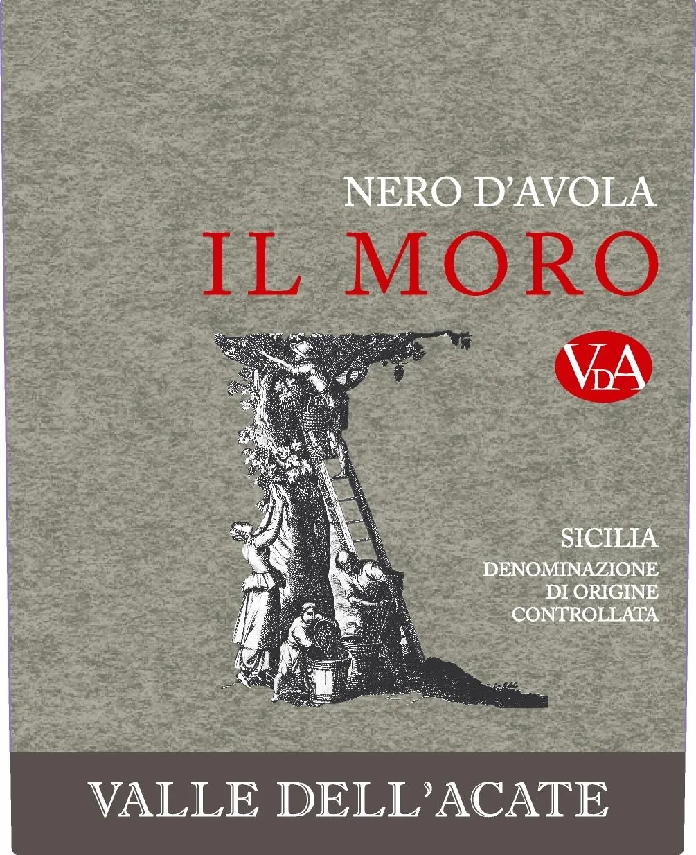 Il Moro Nero d'Avola Bottle