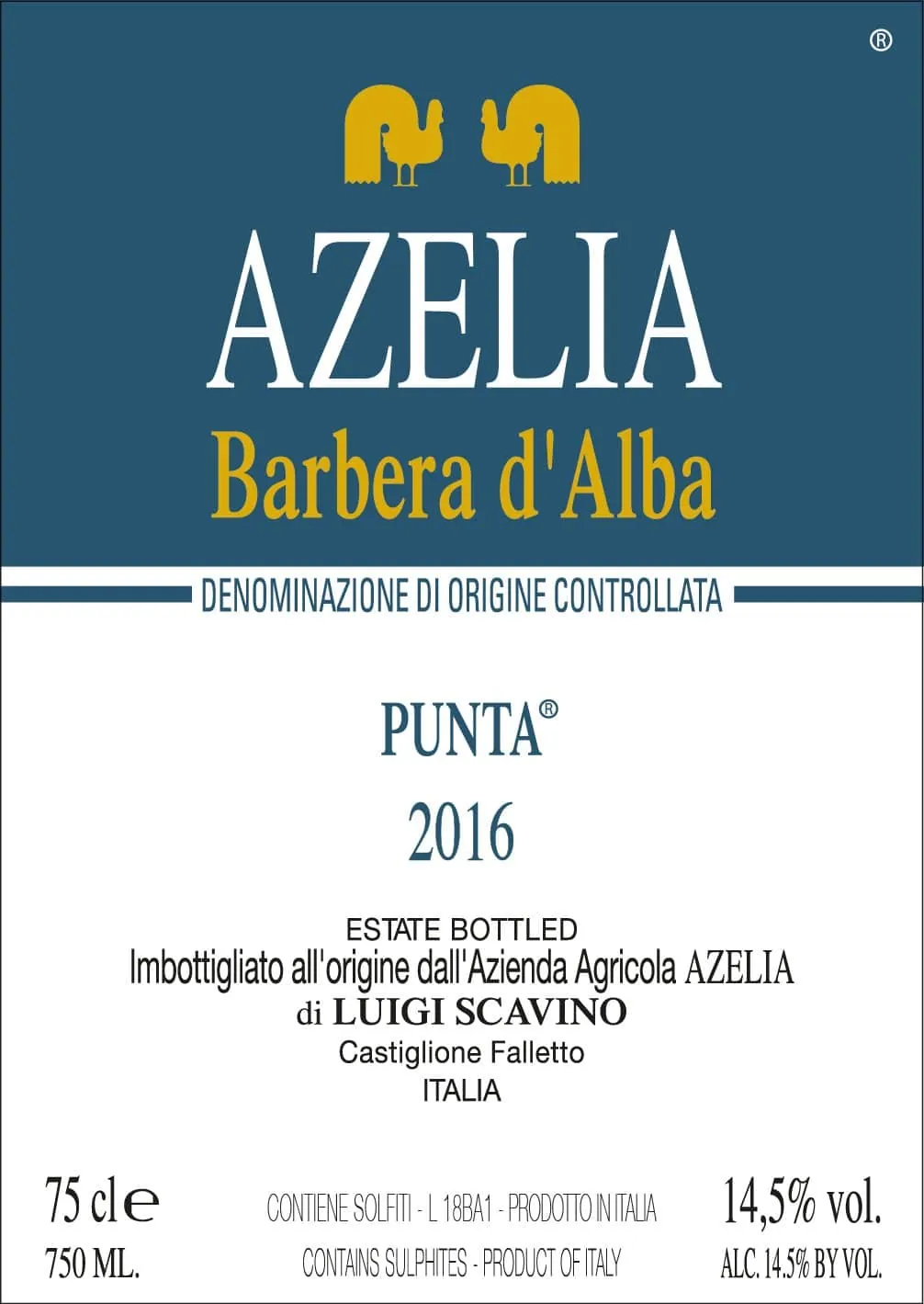 Barbera d'Alba Vigneto Punta Bottle