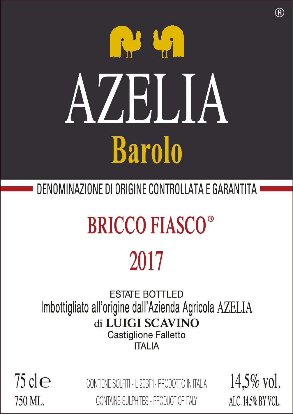 Barolo Bricco Fiasco Bottle