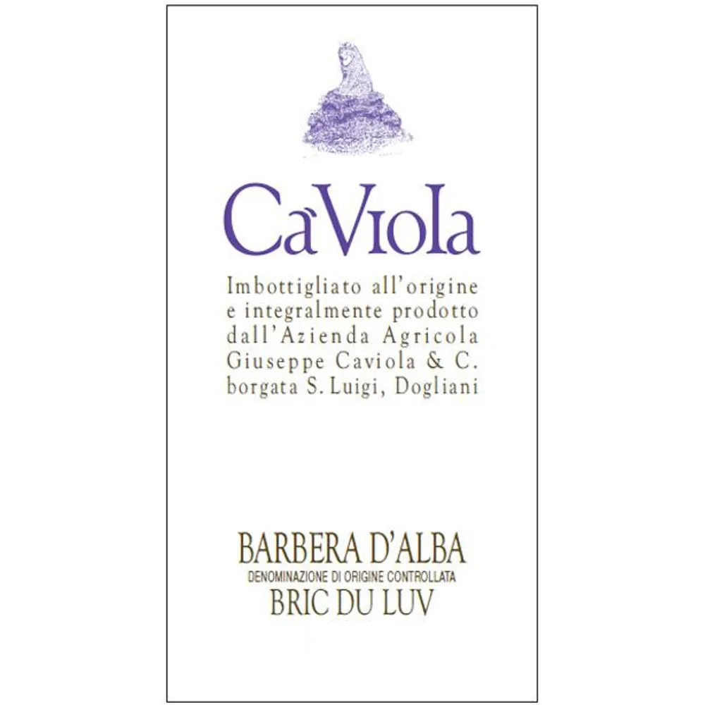 Bric du Luv Barbera d'Alba Bottle