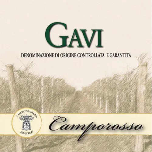 Gavi Bottle