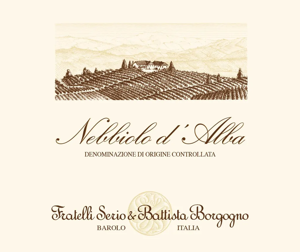 Nebbiolo d'Alba Bottle
