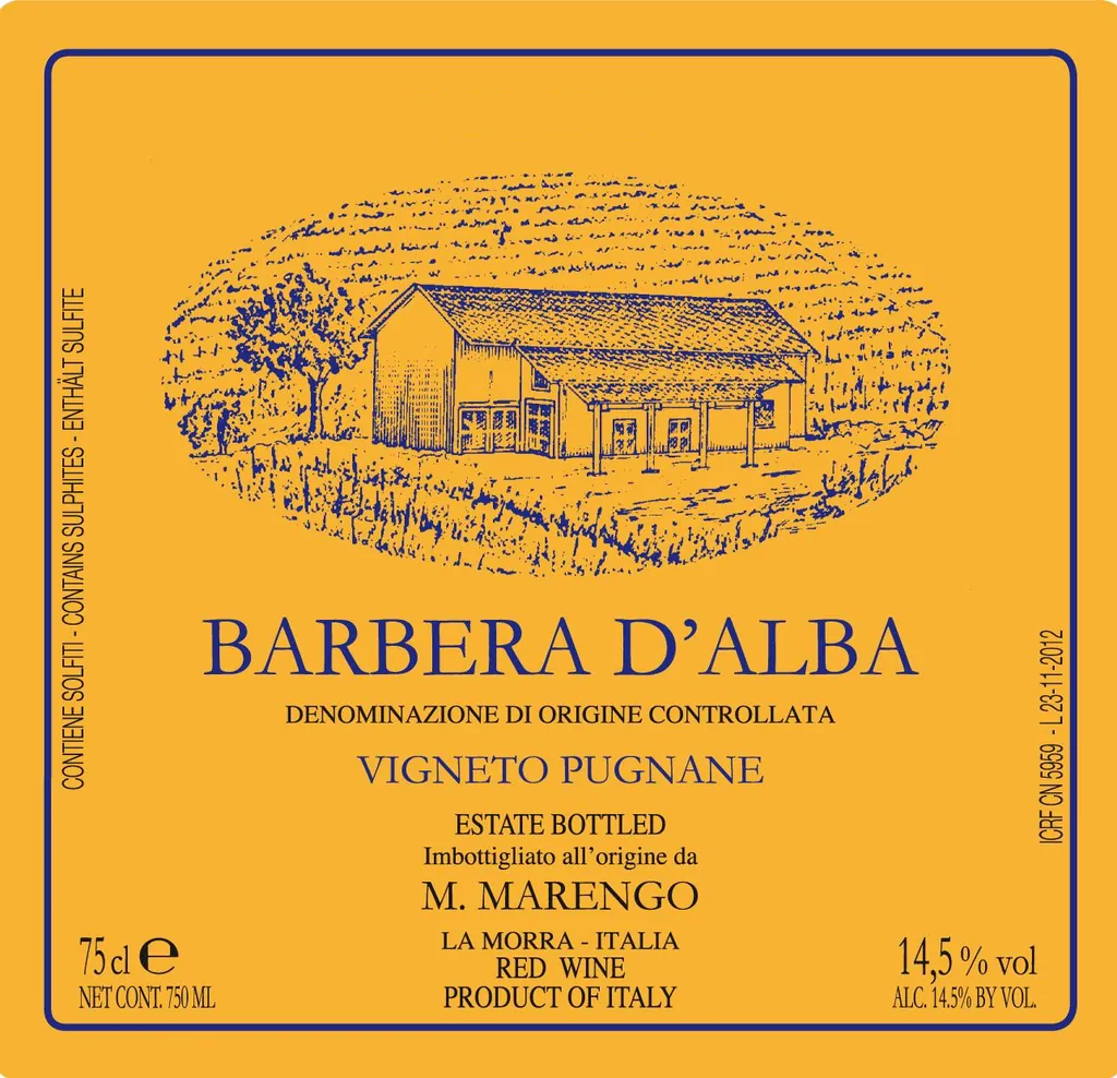 Barbera d'Alba Pugnane Bottle