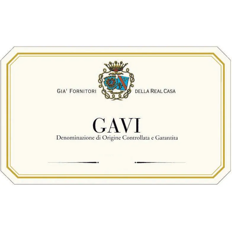 Gavi Bottle