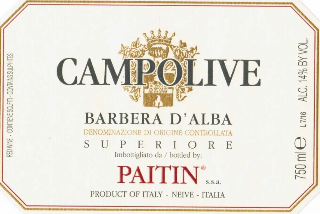 Barbera d'Alba Campolive Bottle