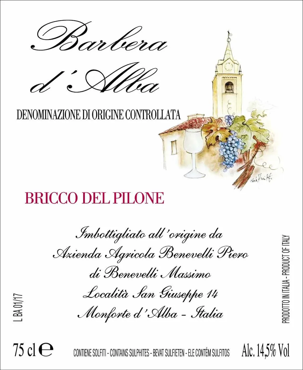 Barbera d'Alba Bricco del Pilone Bottle